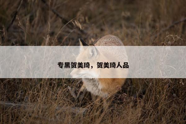 专黑贺美琦，贺美琦人品