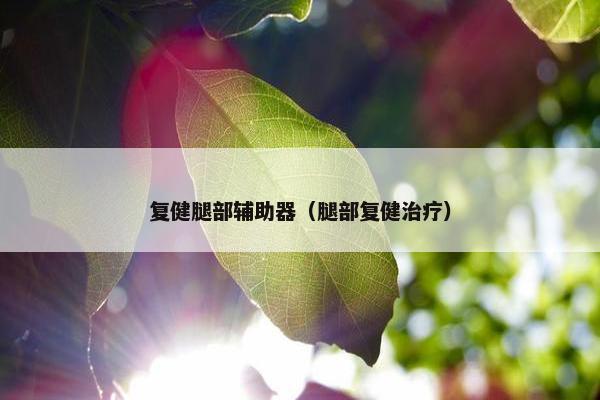 复健腿部辅助器（腿部复健治疗）