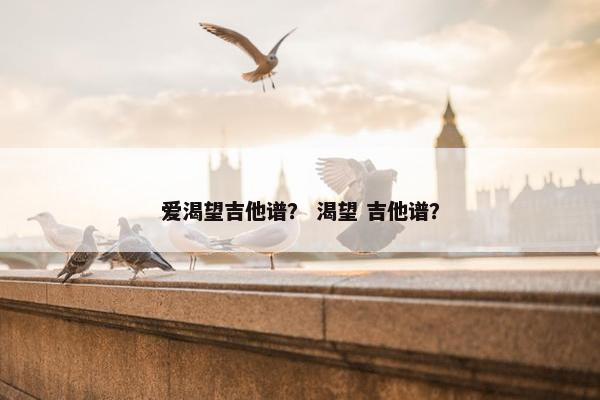 爱渴望吉他谱？ 渴望 吉他谱？