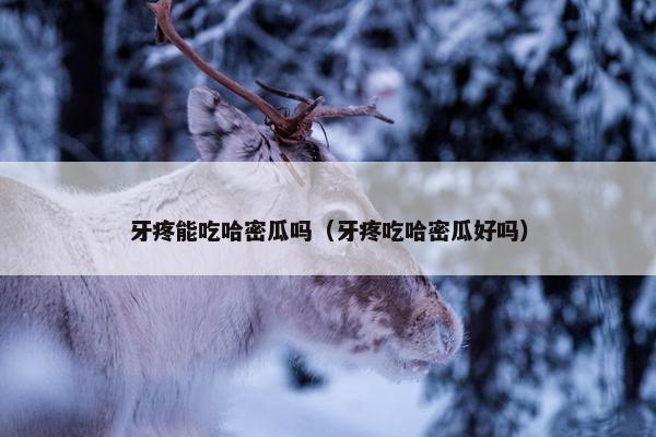 牙疼能吃哈密瓜吗（牙疼吃哈密瓜好吗）