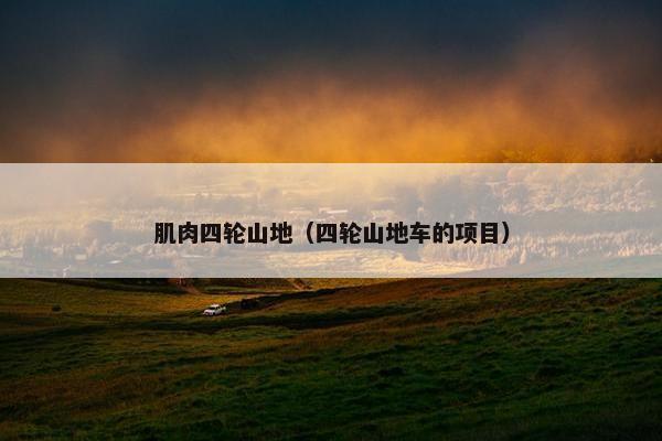 肌肉四轮山地（四轮山地车的项目）
