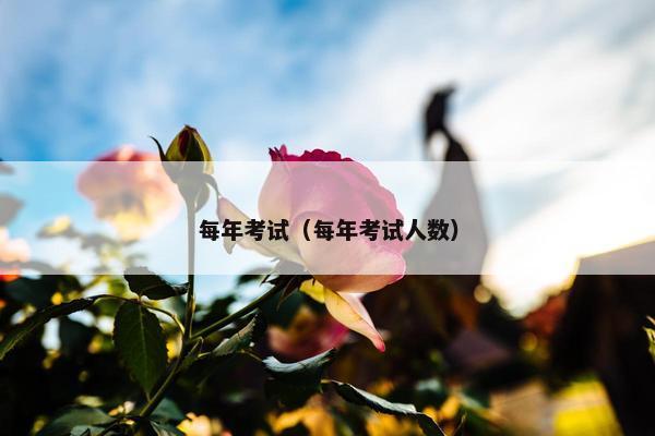 每年考试（每年考试人数）