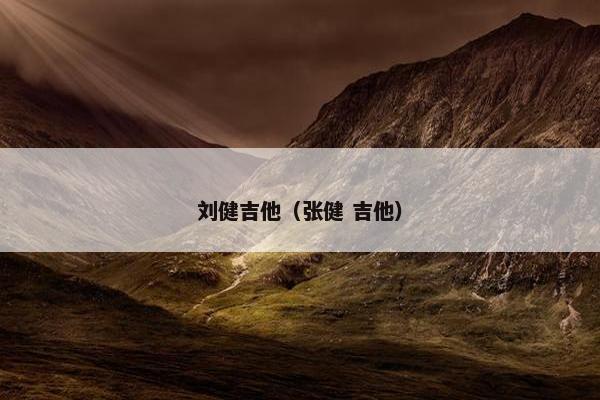 刘健吉他（张健 吉他）