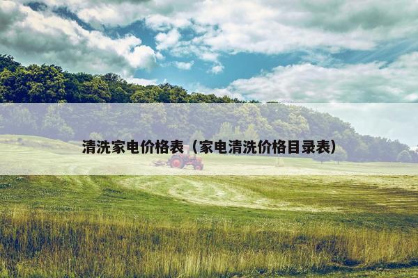 清洗家电价格表（家电清洗价格目录表）
