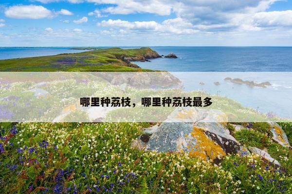 哪里种荔枝，哪里种荔枝最多