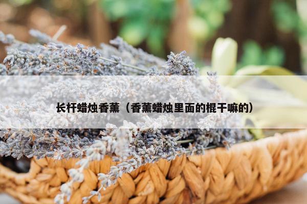 长杆蜡烛香薰（香薰蜡烛里面的棍干嘛的）