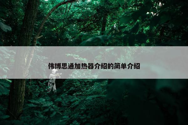伟博思通加热器介绍的简单介绍
