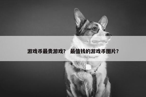游戏币最贵游戏？ 最值钱的游戏币图片？