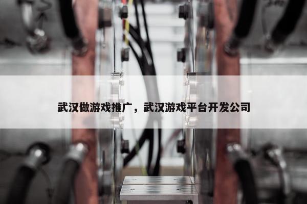 武汉做游戏推广，武汉游戏平台开发公司