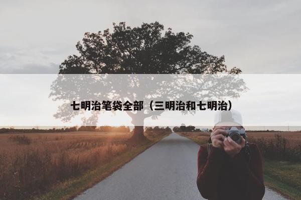 七明治笔袋全部（三明治和七明治）