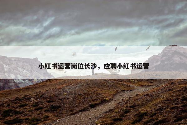 小红书运营岗位长沙，应聘小红书运营