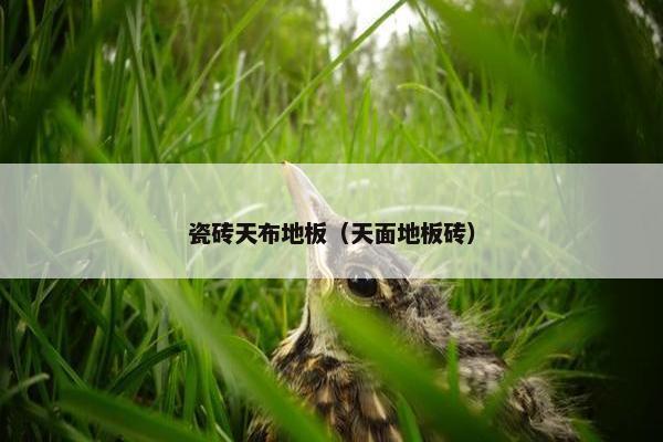 瓷砖天布地板（天面地板砖）