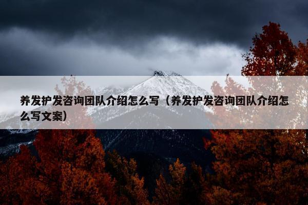 养发护发咨询团队介绍怎么写（养发护发咨询团队介绍怎么写文案）