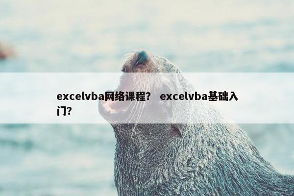 excelvba网络课程？ excelvba基础入门？