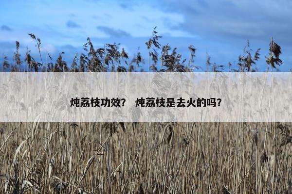 炖荔枝功效？ 炖荔枝是去火的吗？
