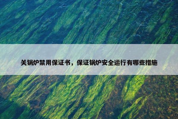 关锅炉禁用保证书，保证锅炉安全运行有哪些措施