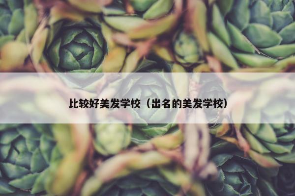 比较好美发学校（出名的美发学校）