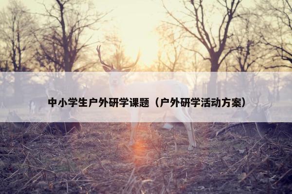 中小学生户外研学课题（户外研学活动方案）