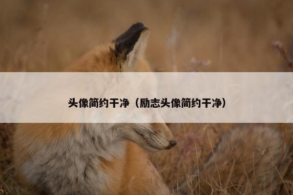 头像简约干净（励志头像简约干净）