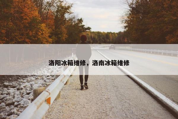 洛阳冰箱维修，洛南冰箱维修