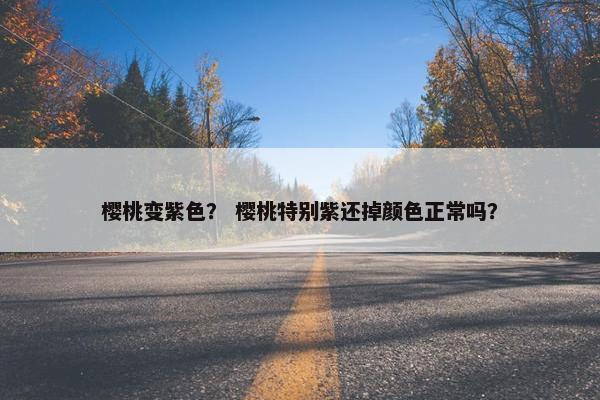 樱桃变紫色？ 樱桃特别紫还掉颜色正常吗？