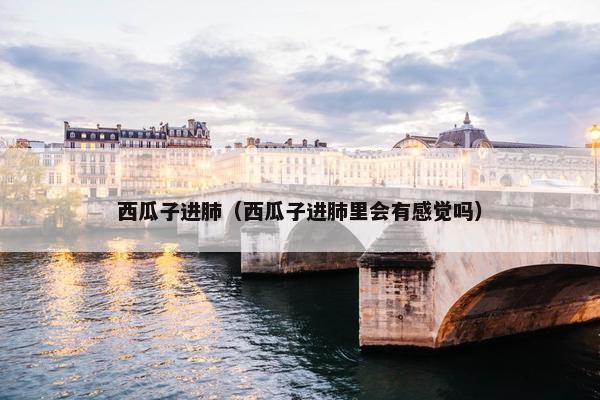 西瓜子进肺（西瓜子进肺里会有感觉吗）