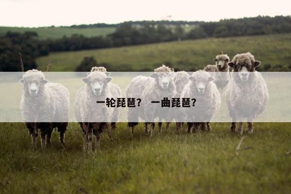 一轮琵琶？ 一曲琵琶？