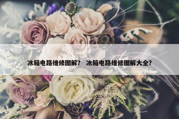 冰箱电路维修图解？ 冰箱电路维修图解大全？