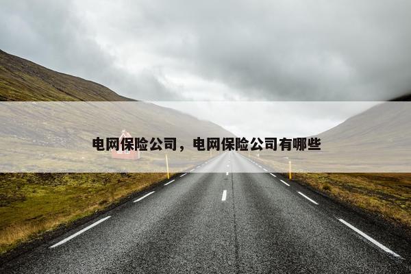 电网保险公司，电网保险公司有哪些
