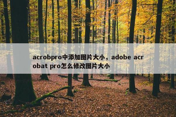 acrobpro中添加图片大小，adobe acrobat pro怎么修改图片大小