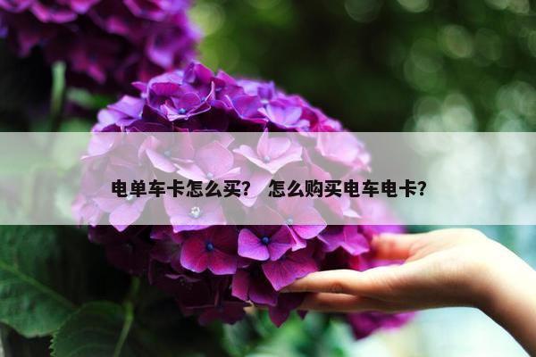 电单车卡怎么买？ 怎么购买电车电卡？