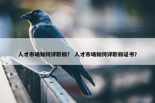 人才市场如何评职称？ 人才市场如何评职称证书？