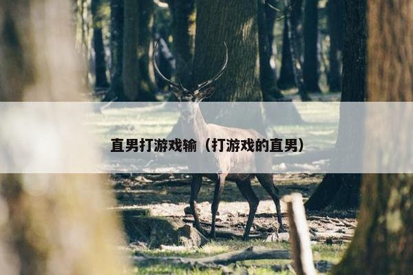 直男打游戏输（打游戏的直男）