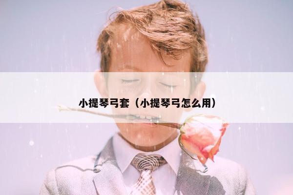 小提琴弓套（小提琴弓怎么用）