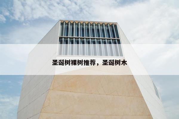 圣诞树裸树推荐，圣诞树木