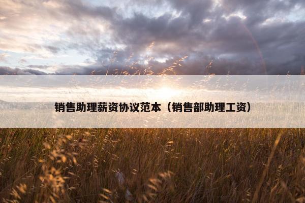 销售助理薪资协议范本（销售部助理工资）
