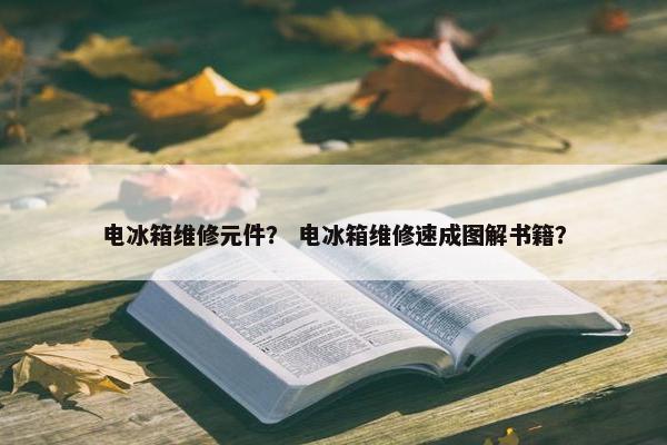 电冰箱维修元件？ 电冰箱维修速成图解书籍？