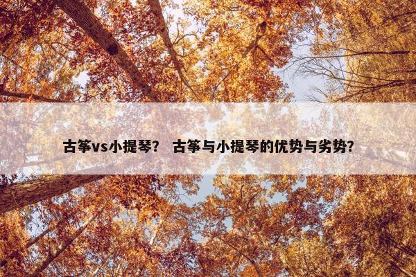 古筝vs小提琴？ 古筝与小提琴的优势与劣势？