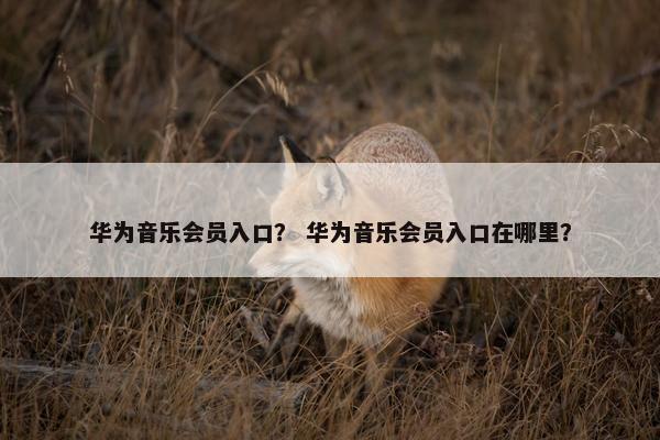 华为音乐会员入口？ 华为音乐会员入口在哪里？