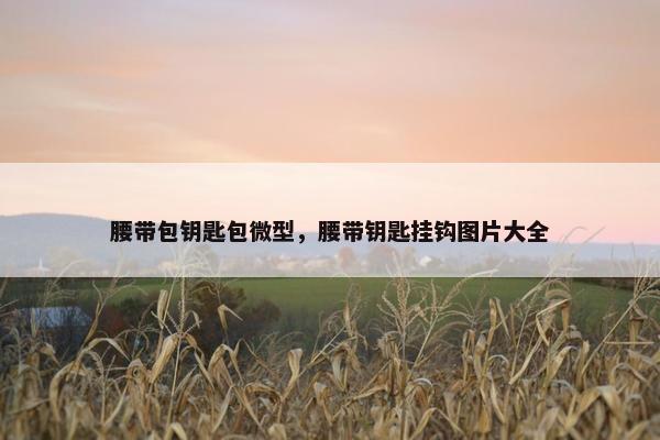 腰带包钥匙包微型，腰带钥匙挂钩图片大全