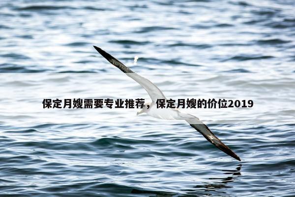 保定月嫂需要专业推荐，保定月嫂的价位2019