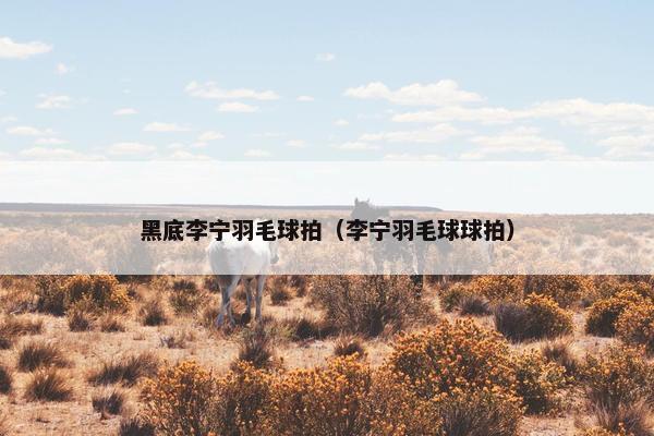黑底李宁羽毛球拍（李宁羽毛球球拍）