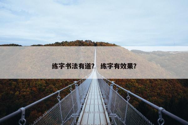 练字书法有道？ 练字有效果？