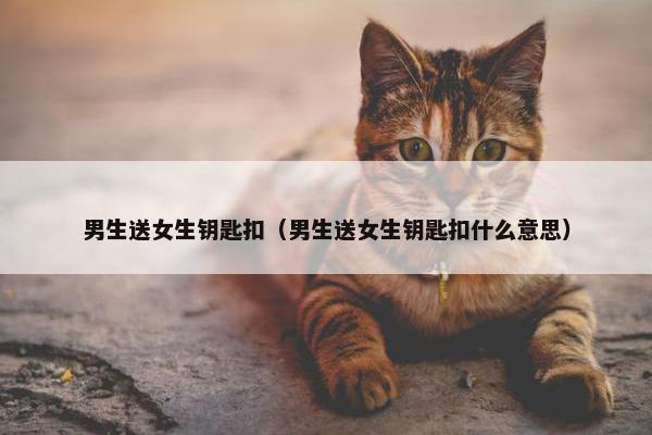男生送女生钥匙扣（男生送女生钥匙扣什么意思）