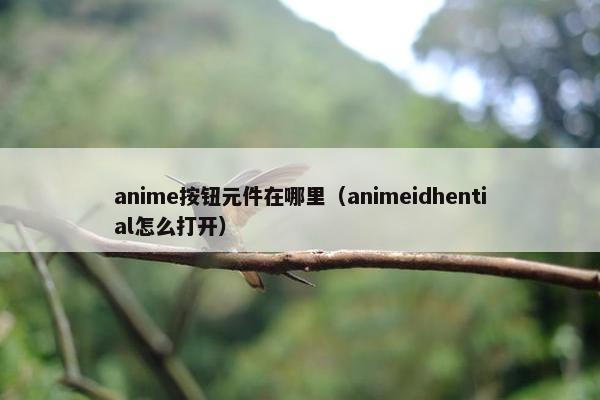 anime按钮元件在哪里（animeidhential怎么打开）