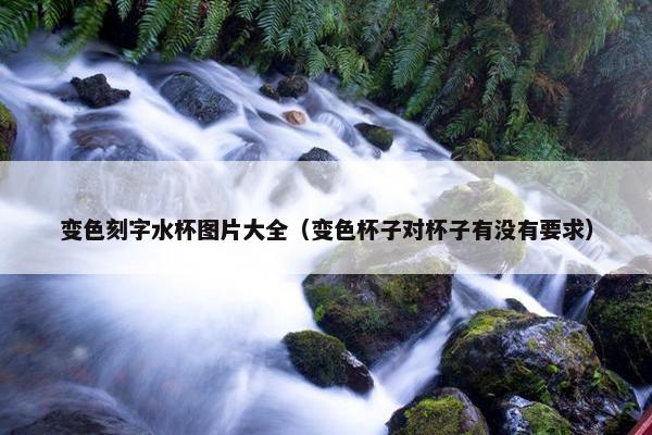 变色刻字水杯图片大全（变色杯子对杯子有没有要求）