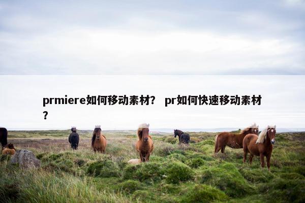 prmiere如何移动素材？ pr如何快速移动素材？