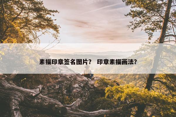 素描印章签名图片？ 印章素描画法？