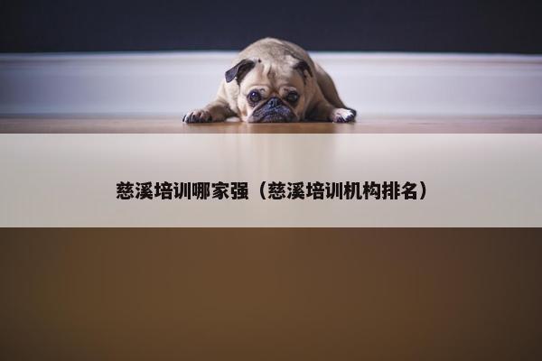 慈溪培训哪家强（慈溪培训机构排名）