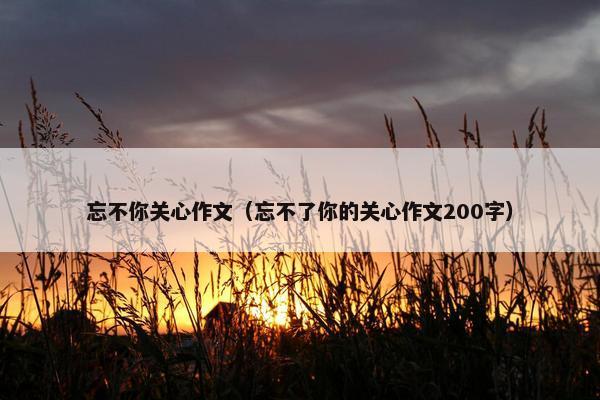 忘不你关心作文（忘不了你的关心作文200字）